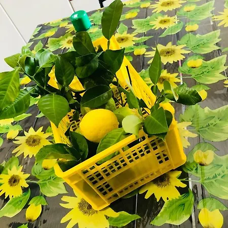Vista Mare Appartement